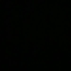 Meet your Posher, Daniela